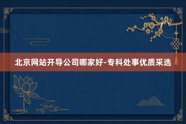 北京网站开导公司哪家好-专科处事优质采选