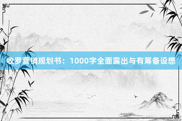收罗营销规划书：1000字全面露出与有筹备设想
